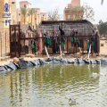 KidZoo Trip