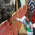 KidZoo Trip