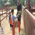 KidZoo Trip